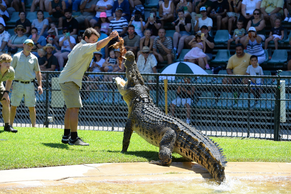 Visual Story – Australia Zoo (QLD)