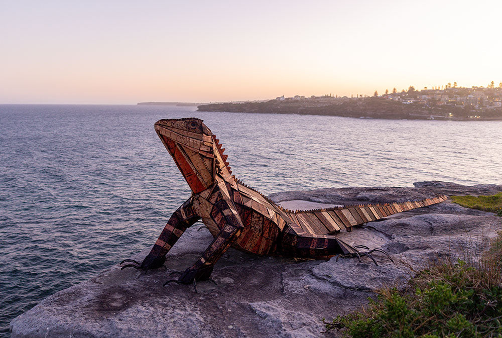 Visual Story – Sculpture by the Sea, Bondi