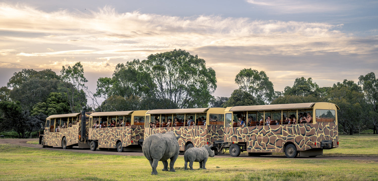 Visual Story – Werribee Zoo